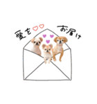 ♡。様2（個別スタンプ：15）