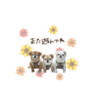 ♡。様2（個別スタンプ：16）