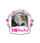 ねこミルク②（個別スタンプ：4）