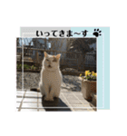 ねこミルク②（個別スタンプ：5）