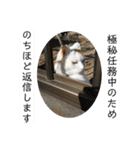 ねこミルク②（個別スタンプ：14）