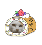 ねこミルク②（個別スタンプ：17）