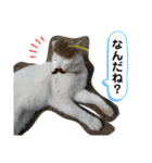 ねこミルク②（個別スタンプ：23）