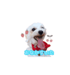 めいぽんまる2(ラッキーもいるよ)（個別スタンプ：5）