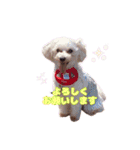 めいぽんまる2(ラッキーもいるよ)（個別スタンプ：7）