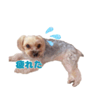 めいぽんまる2(ラッキーもいるよ)（個別スタンプ：9）