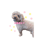 めいぽんまる2(ラッキーもいるよ)（個別スタンプ：10）