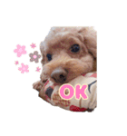 めいぽんまる2(ラッキーもいるよ)（個別スタンプ：11）