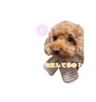 めいぽんまる2(ラッキーもいるよ)（個別スタンプ：13）