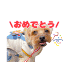 めいぽんまる2(ラッキーもいるよ)（個別スタンプ：23）