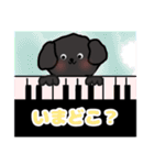 ピアノと犬（個別スタンプ：2）