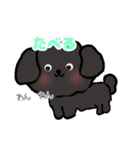 ピアノと犬（個別スタンプ：20）