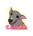 イタグレのジーナさん（個別スタンプ：2）