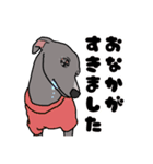イタグレのジーナさん（個別スタンプ：13）