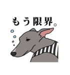 イタグレのジーナさん（個別スタンプ：16）