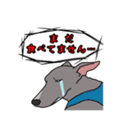 イタグレのジーナさん（個別スタンプ：21）