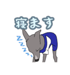 イタグレのジーナさん（個別スタンプ：24）