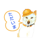 保護犬・保護猫・大切な家族～改正版～（個別スタンプ：10）