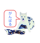 保護犬・保護猫・大切な家族～改正版～（個別スタンプ：26）