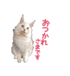 魔女の子6（個別スタンプ：3）
