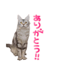 魔女の子6（個別スタンプ：4）