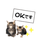 魔女の子6（個別スタンプ：9）