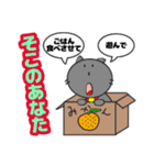 ハイ猫くん（個別スタンプ：9）