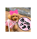 マロンのささやき（個別スタンプ：7）