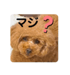 マロンのささやき（個別スタンプ：10）