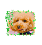マロンのささやき（個別スタンプ：11）