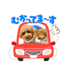 マロンのささやき（個別スタンプ：13）