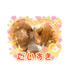 マロンのささやき（個別スタンプ：14）