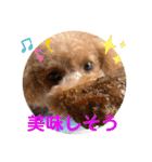 マロンのささやき（個別スタンプ：26）