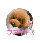 マロンのささやき（個別スタンプ：29）