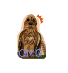 モリフクロウのハリースタンプ（個別スタンプ：3）