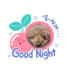 ちろるです。（個別スタンプ：6）