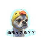 伍助ちゃんスタンプ（個別スタンプ：3）