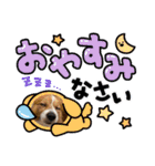 koron 2（個別スタンプ：1）