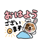 koron 2（個別スタンプ：2）