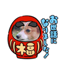 koron 2（個別スタンプ：13）