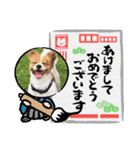 koron 2（個別スタンプ：14）