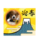 koron 2（個別スタンプ：20）