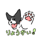 ボダコはんこ（個別スタンプ：5）