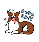 ボダコはんこ（個別スタンプ：6）