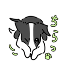ボダコはんこ（個別スタンプ：13）