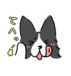ボダコはんこ（個別スタンプ：14）