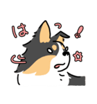 ボダコはんこ（個別スタンプ：17）