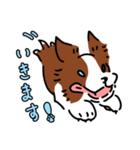 ボダコはんこ（個別スタンプ：19）