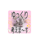 五月病の猫たち（個別スタンプ：12）