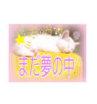 五月病の猫たち（個別スタンプ：13）